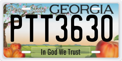 GA license plate PTT3630