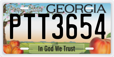 GA license plate PTT3654