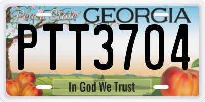 GA license plate PTT3704