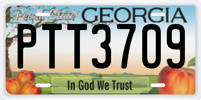 GA license plate PTT3709