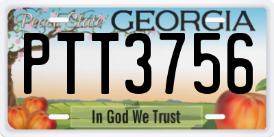 GA license plate PTT3756