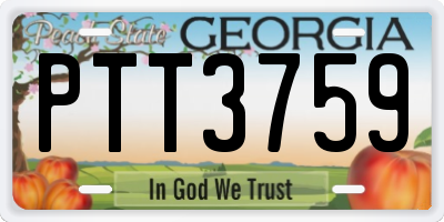 GA license plate PTT3759