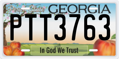 GA license plate PTT3763