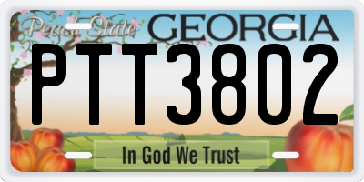 GA license plate PTT3802
