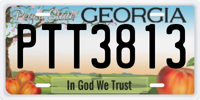 GA license plate PTT3813