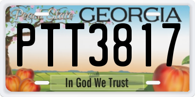 GA license plate PTT3817