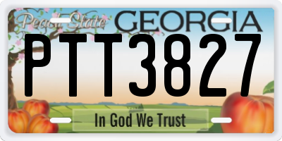 GA license plate PTT3827