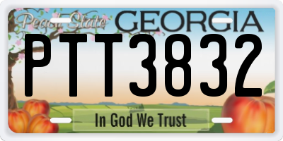 GA license plate PTT3832