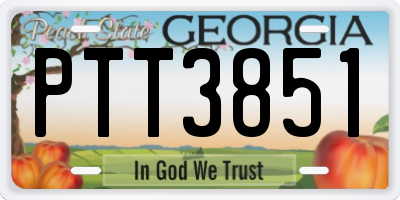 GA license plate PTT3851