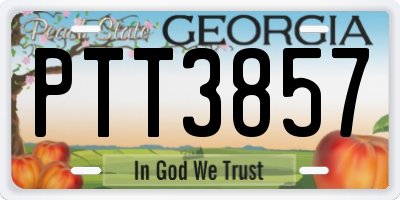 GA license plate PTT3857