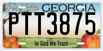 GA license plate PTT3875