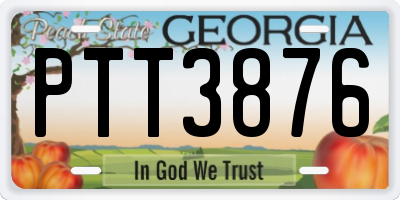GA license plate PTT3876