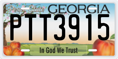 GA license plate PTT3915