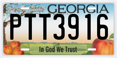 GA license plate PTT3916