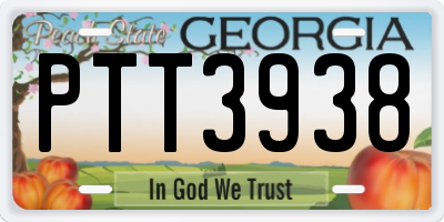 GA license plate PTT3938
