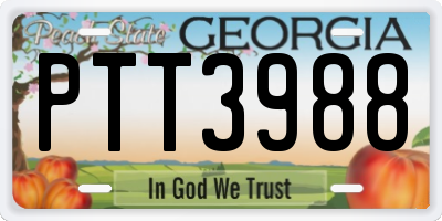 GA license plate PTT3988