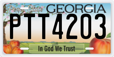 GA license plate PTT4203
