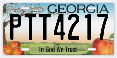 GA license plate PTT4217