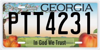 GA license plate PTT4231
