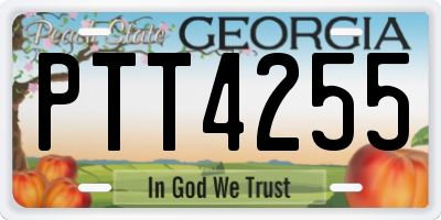 GA license plate PTT4255