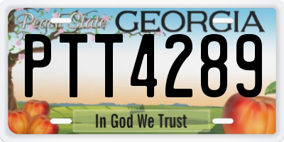 GA license plate PTT4289
