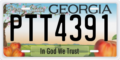 GA license plate PTT4391
