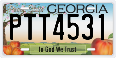 GA license plate PTT4531