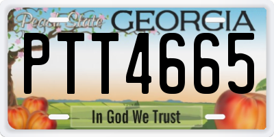GA license plate PTT4665
