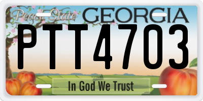 GA license plate PTT4703