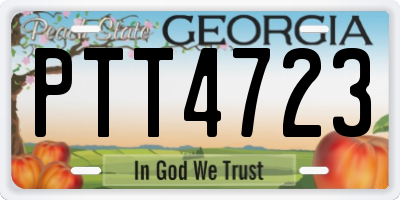 GA license plate PTT4723