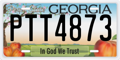GA license plate PTT4873