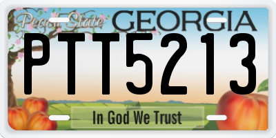 GA license plate PTT5213