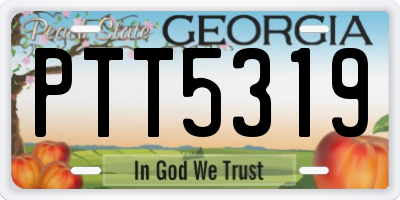 GA license plate PTT5319