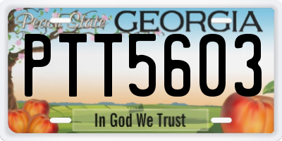 GA license plate PTT5603