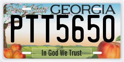 GA license plate PTT5650