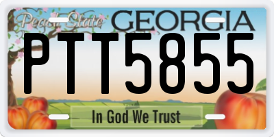 GA license plate PTT5855