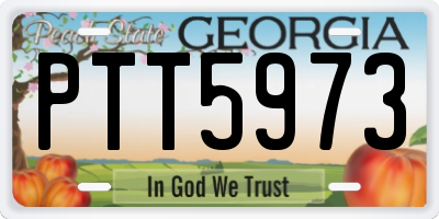GA license plate PTT5973