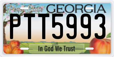 GA license plate PTT5993