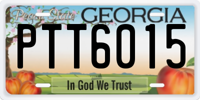 GA license plate PTT6015