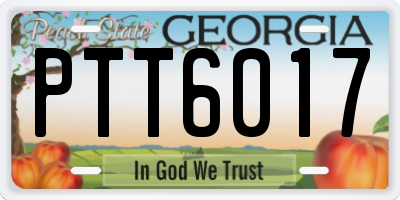 GA license plate PTT6017