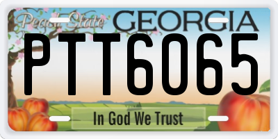 GA license plate PTT6065