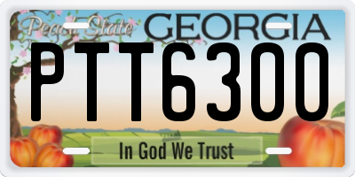 GA license plate PTT6300