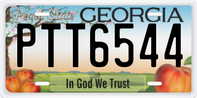 GA license plate PTT6544