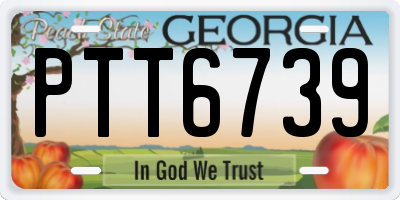 GA license plate PTT6739