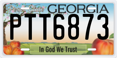 GA license plate PTT6873