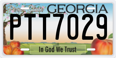 GA license plate PTT7029