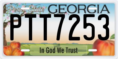 GA license plate PTT7253