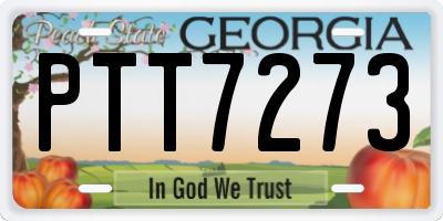 GA license plate PTT7273