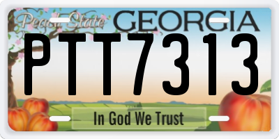 GA license plate PTT7313