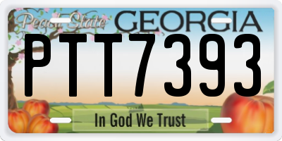 GA license plate PTT7393